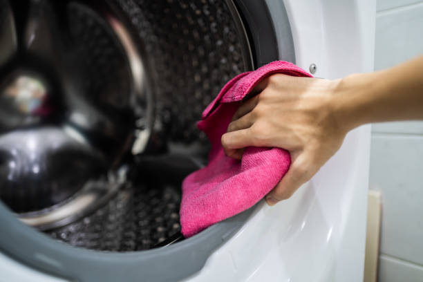 Reliable Penn Yan, NY Mold Removal Solutions