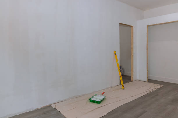 Best Asbestos and Lead Testing During Mold Inspection  in Penn Yan, NY